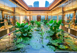 Triều Phạm 037