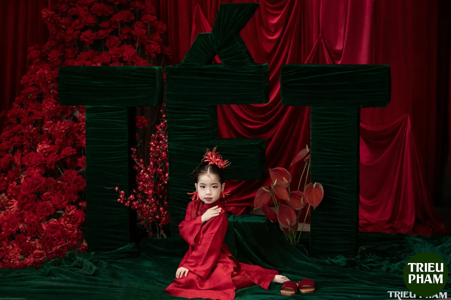 Triều Phạm 1195