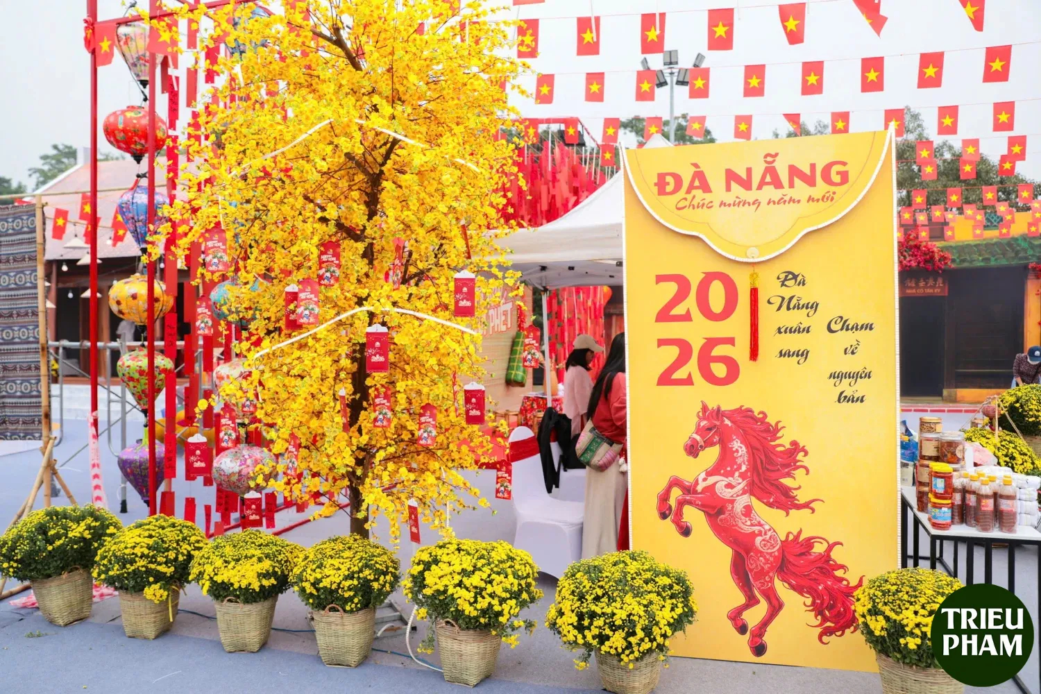 Chup anh Tet thuong hieu 2026 7