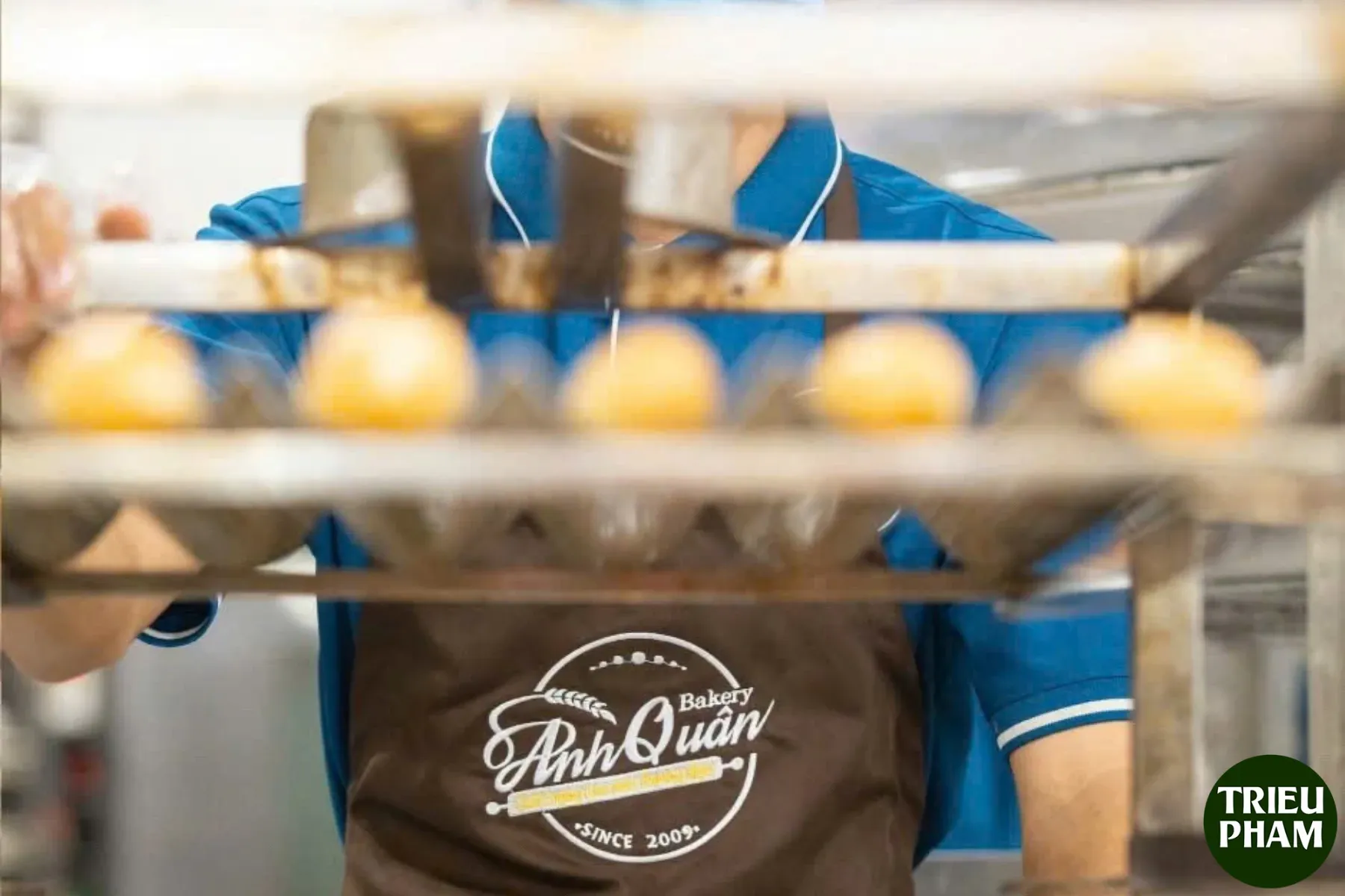 Dau tu Media Doanh nghiep 5