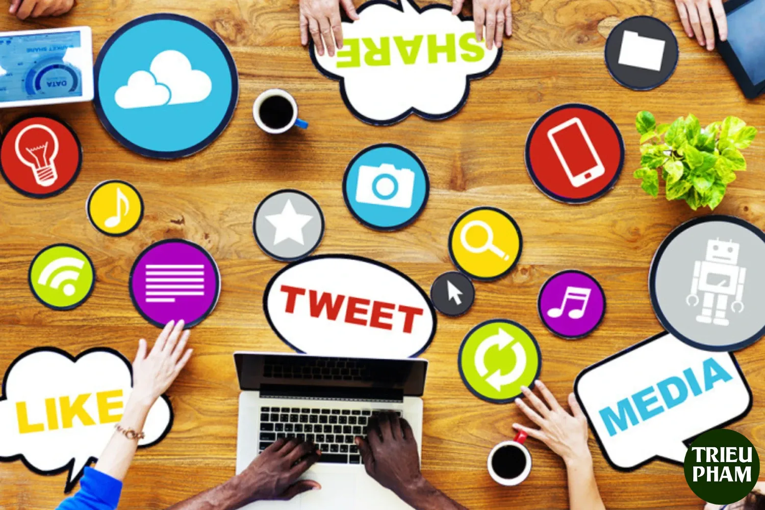 Dau tu Media doanh nghiep 2