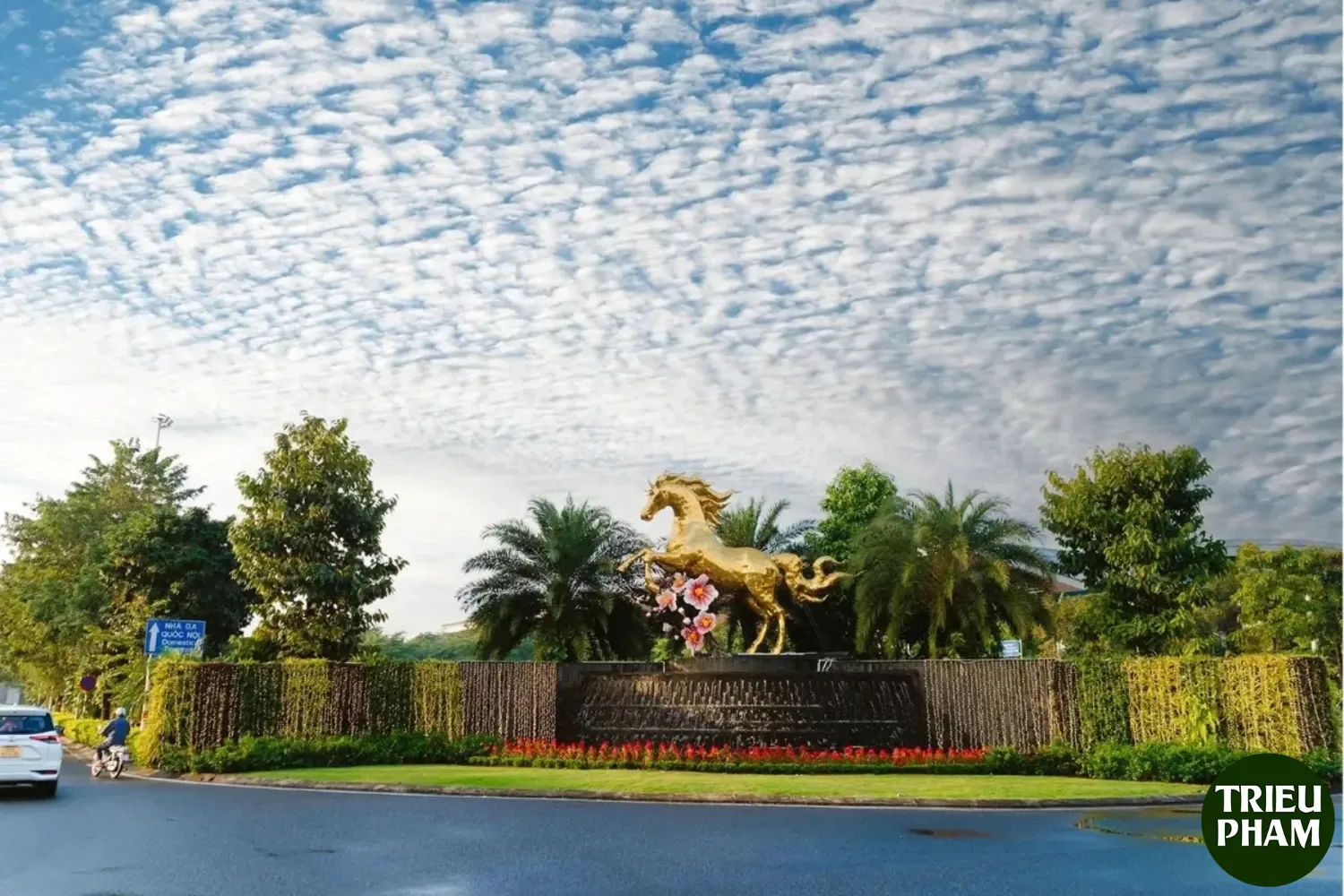 Top Địa điểm chụp ảnh Tết 2026 tại Đà Nẵng không thể bỏ lỡ 5 Dia diem chup anh Tet 2026 14