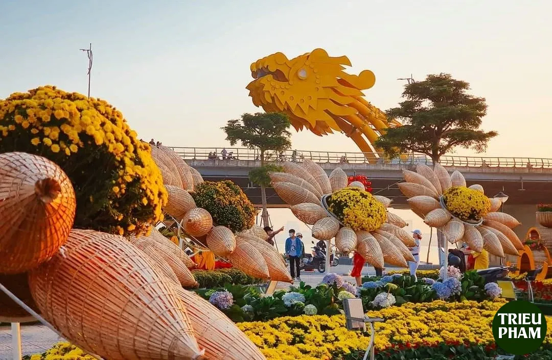 Dia diem chup anh Tet 2026 2 4